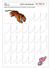 1. sınıf çizgi çalışmaları